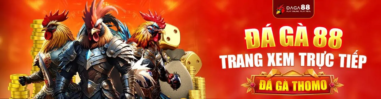Hình ảnh minh họa các nguyên tắc GDPR mà bong8899 casino tuân thủ